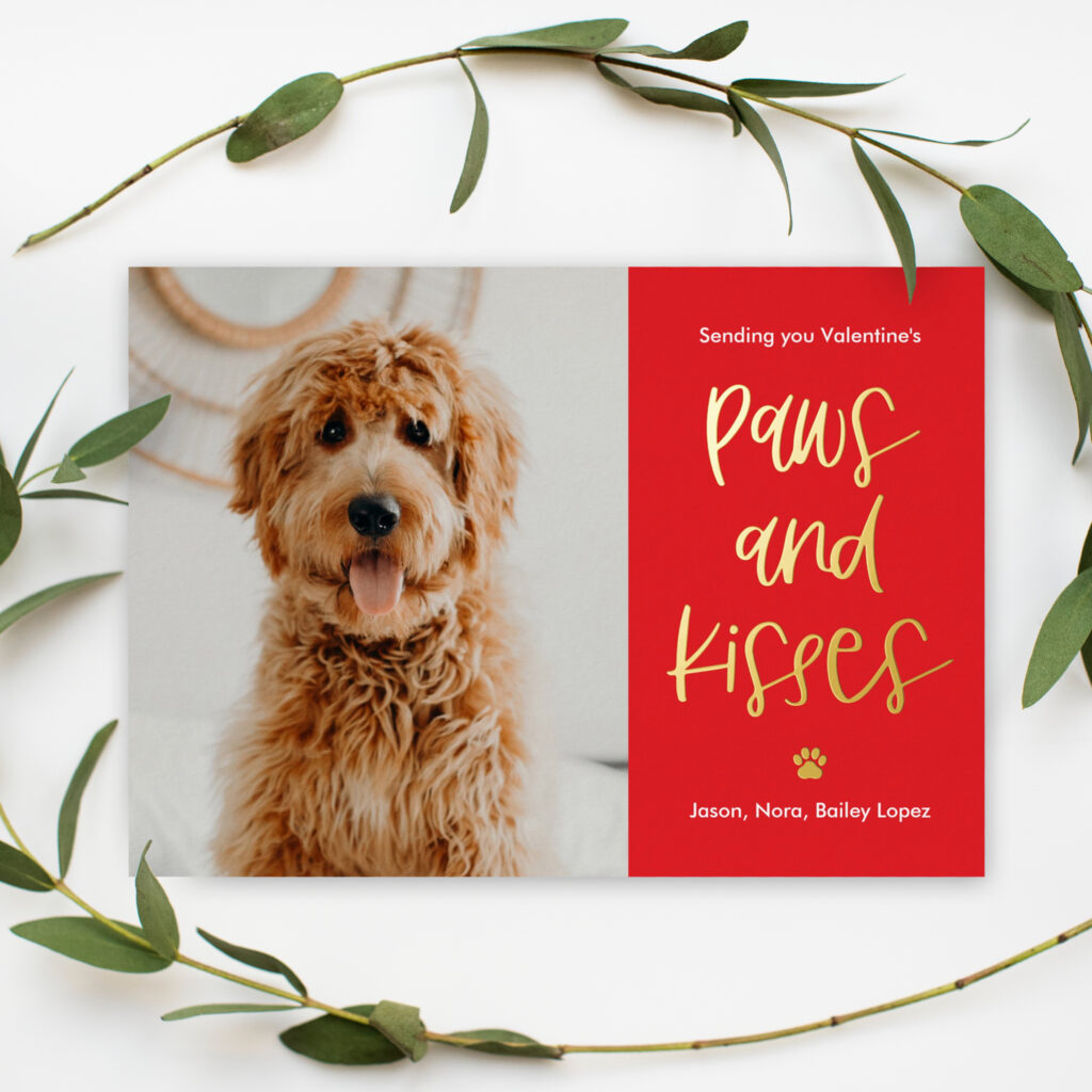 Paws and Kisses Pets Valentine's Day Card