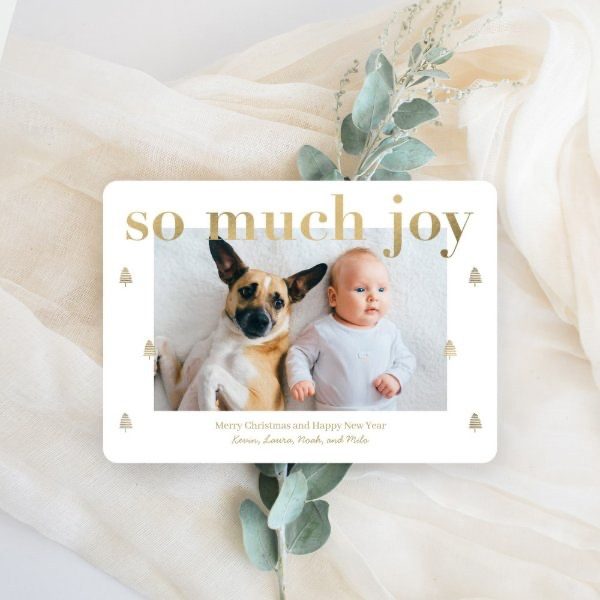Holiday Cards - So Much Joy Christmas Card