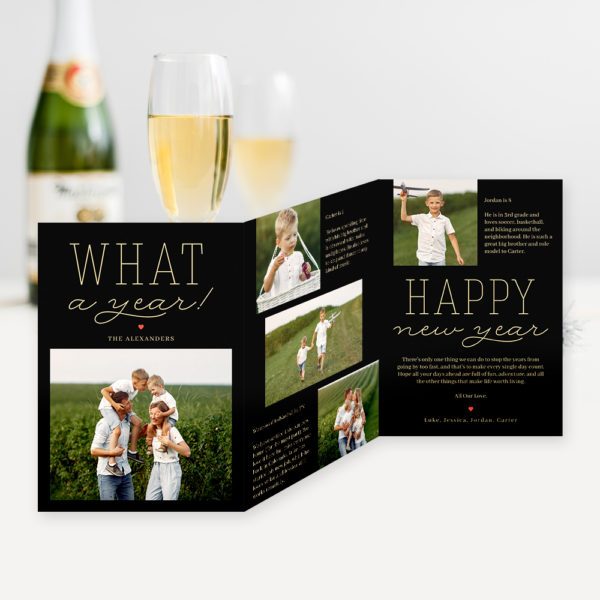 What-A-Year-Trifold-Holiday-Story-Cards-New-Year-Photo-Cards